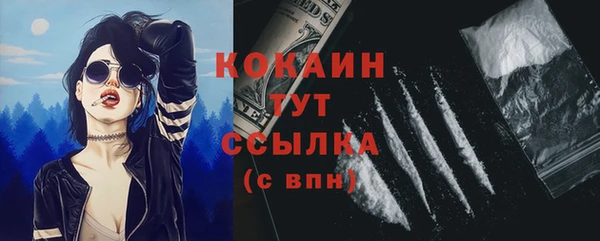 мдпв Вязники