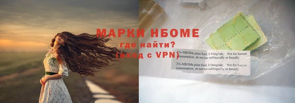 ГАЛЛЮЦИНОГЕННЫЕ ГРИБЫ Вяземский