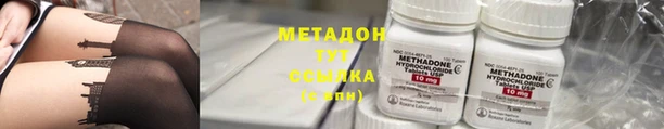 ГАЛЛЮЦИНОГЕННЫЕ ГРИБЫ Вяземский