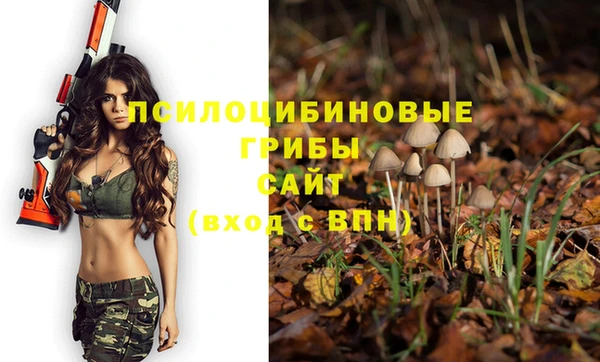 MESCALINE Вязьма