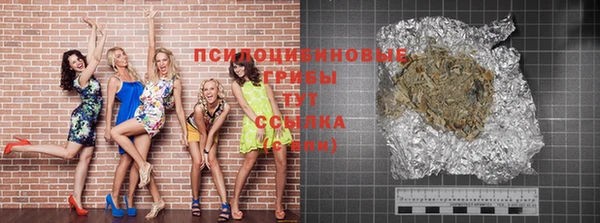 ГАЛЛЮЦИНОГЕННЫЕ ГРИБЫ Вяземский