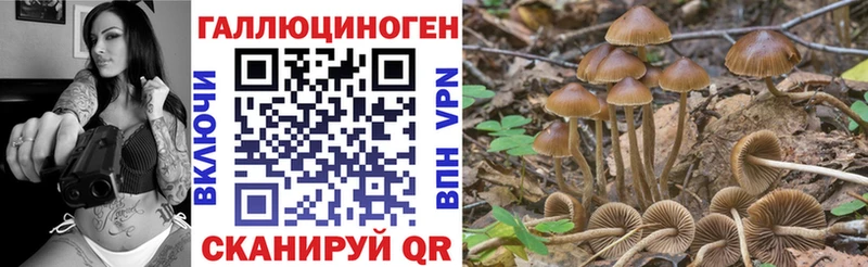Псилоцибиновые грибы Magic Shrooms Купить Калач